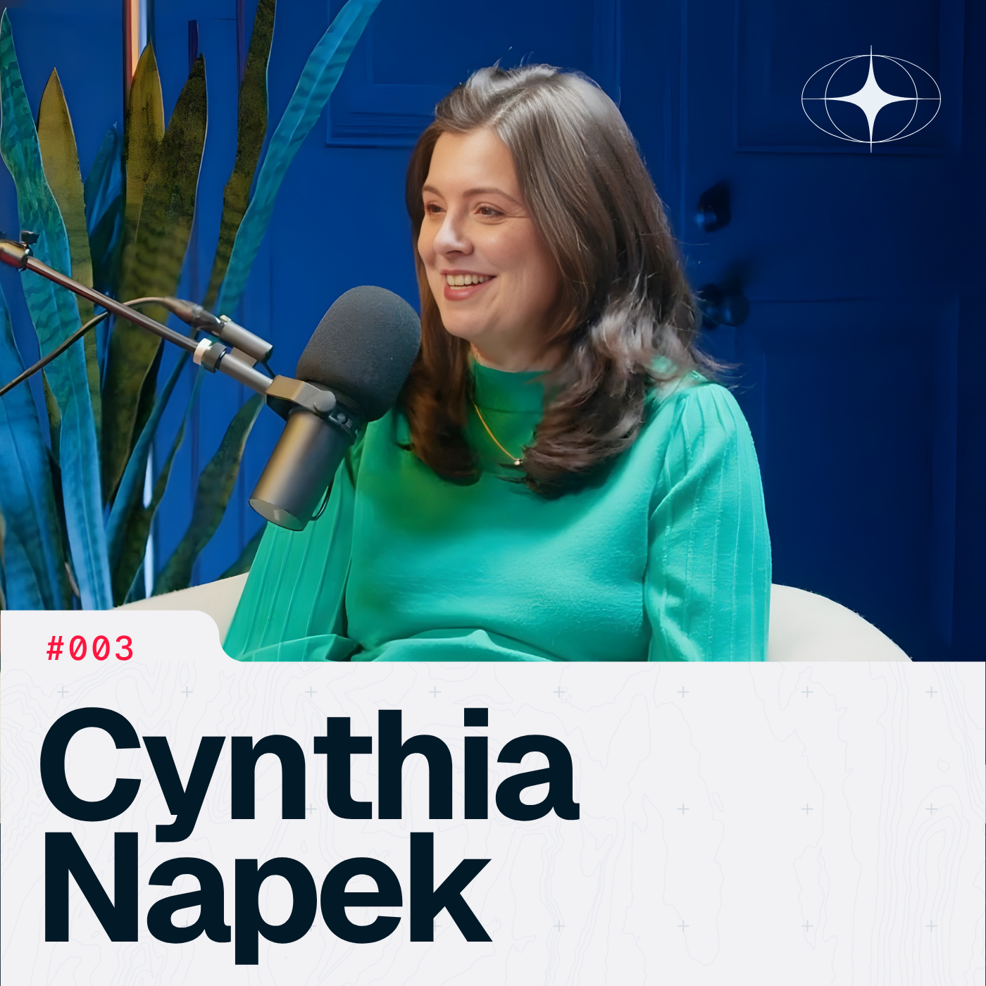 Cover art for Cynthia Knapek: Social Capital, The Trust Gap, and Why Vision Without Execution is Just Hallucination